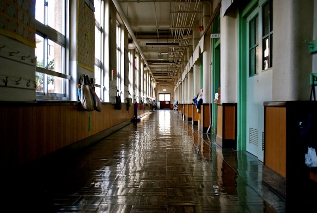 Galeri 1